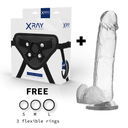 X RAY - ARNÊS + DILDO COM BOLAS 22 CM X 4.6 CM