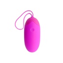 PRETTY LOVE - CONTROLE REMOTO EGG BERGER 12 V