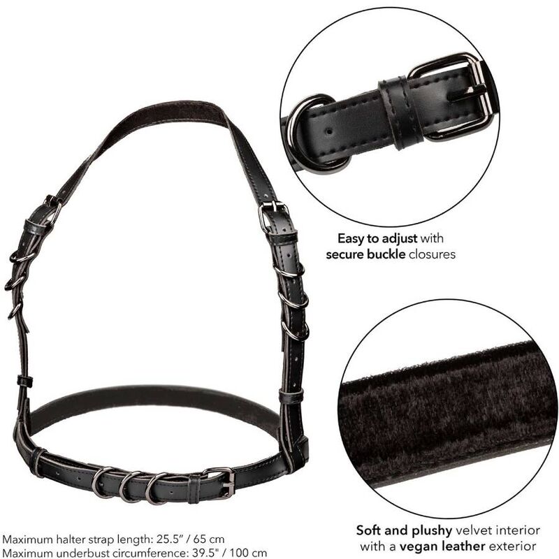 CALIFORNIA EXOTICS - EUPHORIA ARNÊS DE FIVELA HALTER PRETO