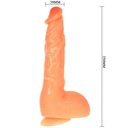 BAILE - VIBRADOR REALÍSTICO COM VENTOSA