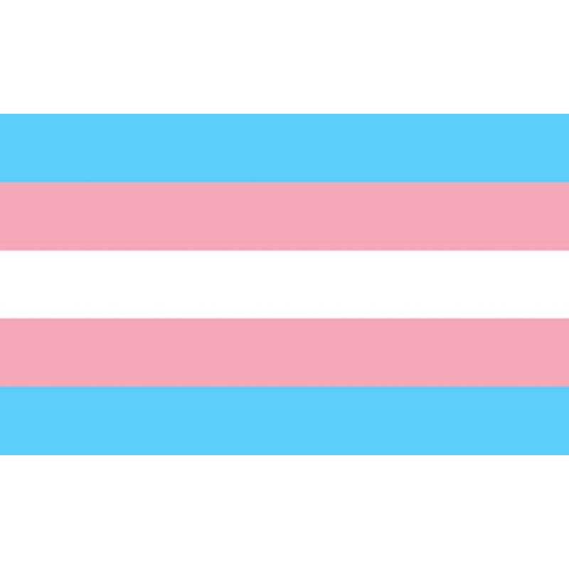 ORGULHO - BANDEIRA TRANSEXUAL 90 X 156