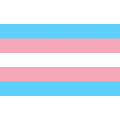 ORGULHO - BANDEIRA TRANSEXUAL 90 X 156